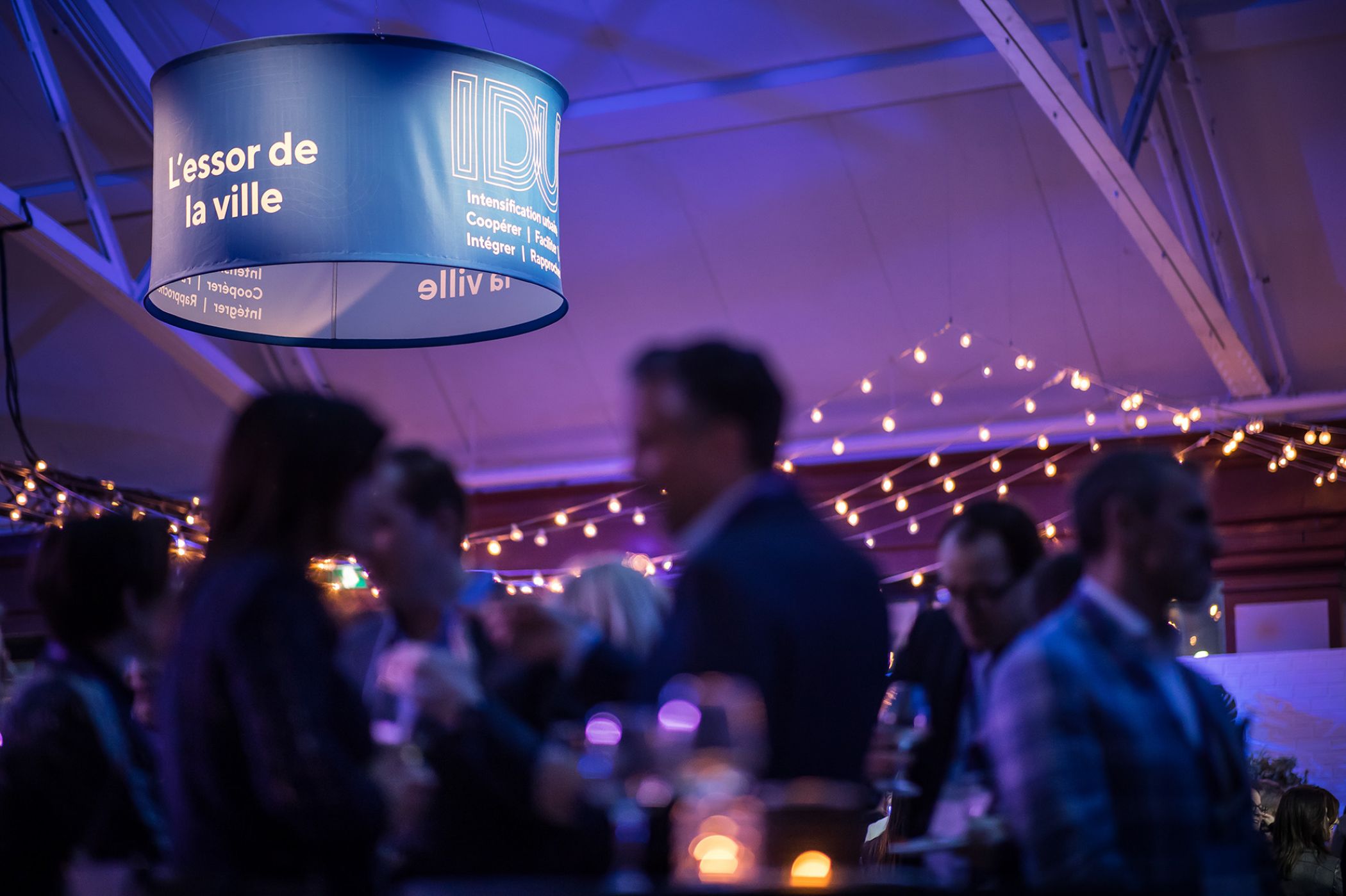 Institut de Développement Urbain du Québec